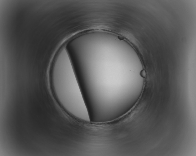 X0000089851032200706281016