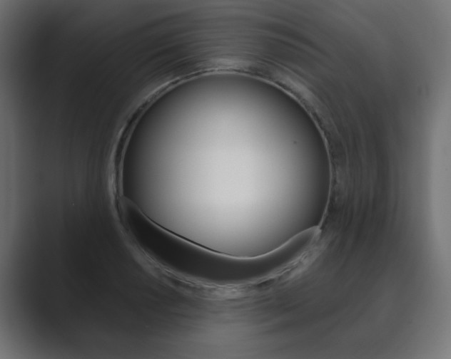 X0000089851034200706281016