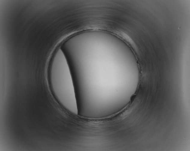 X0000089851035200706281016