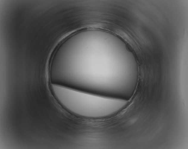 X0000089851036200706281016