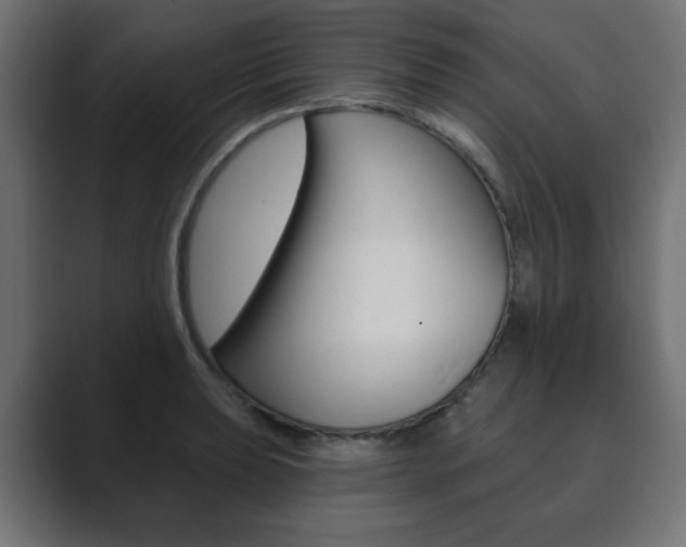X0000089851039200706281016