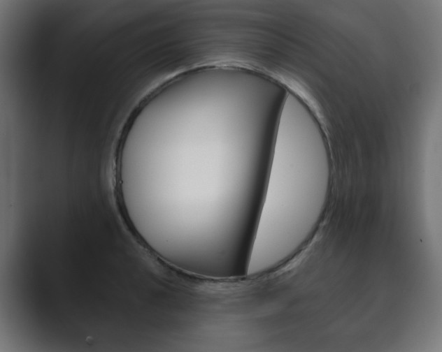X0000089851040200706281017