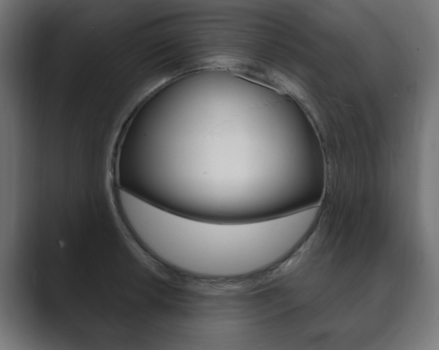 X0000089851042200706281017