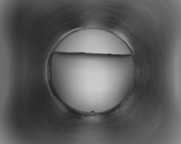 X0000089851047200706281017