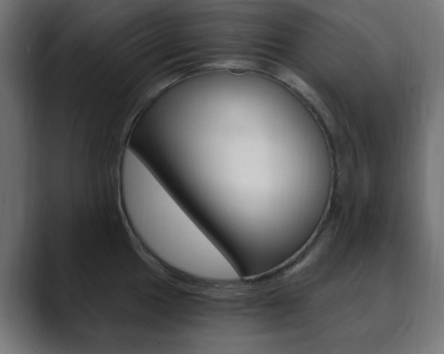 X0000089851049200706281017