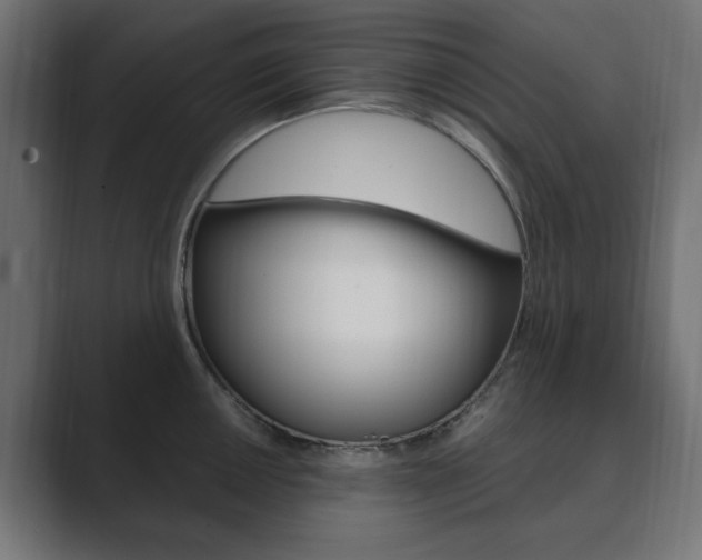 X0000089851050200706281017