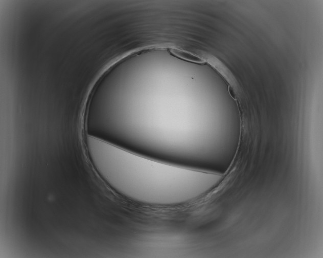X0000089851052200706281017