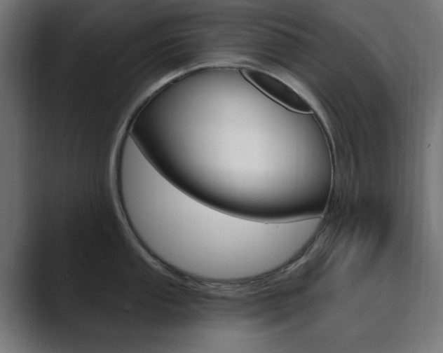 X0000089851053200706281017