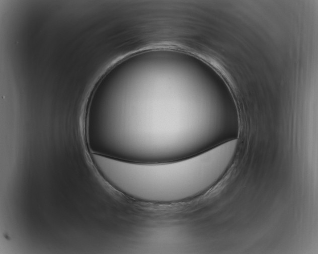 X0000089851054200706281017