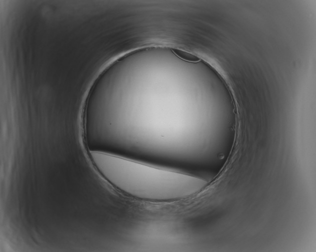 X0000089851056200706281017
