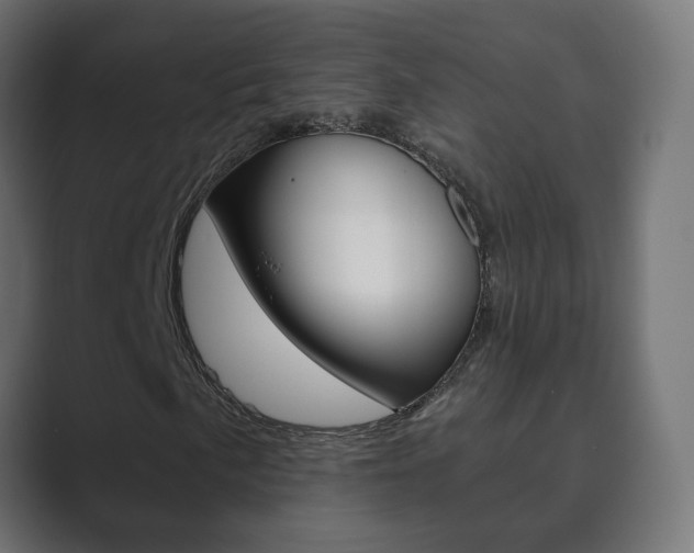X0000089851057200706281016