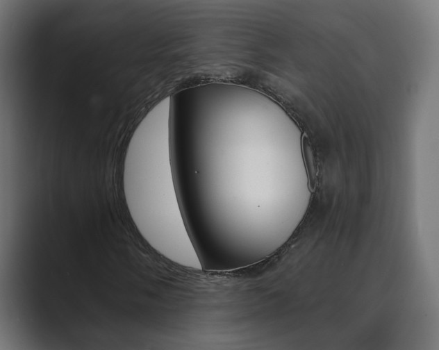 X0000089851058200706281016