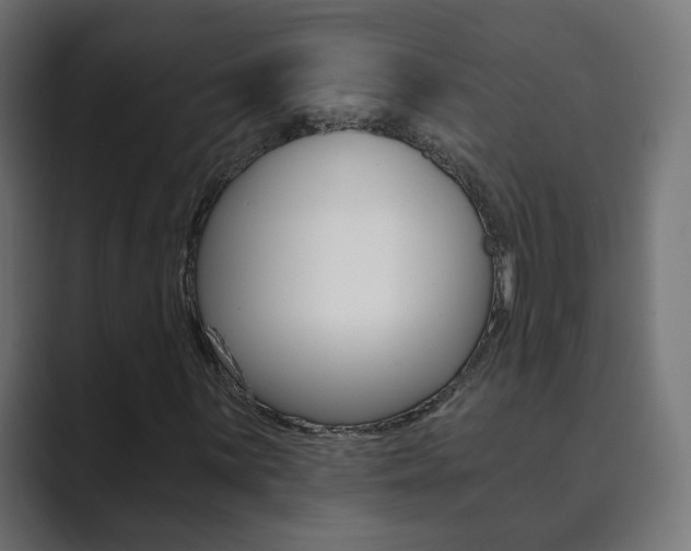X0000089851059200706281016