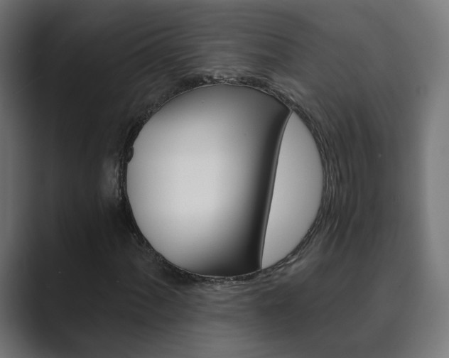 X0000089851060200706281016