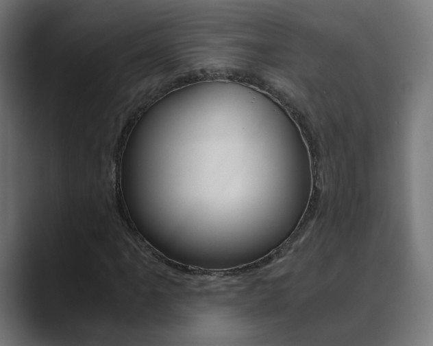 X0000089851061200706281016