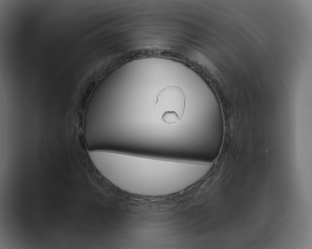 X0000089851064200706281016
