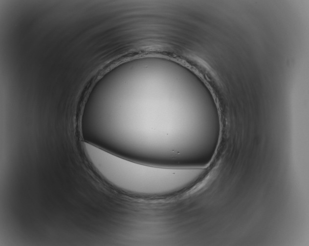 X0000089851065200706281016