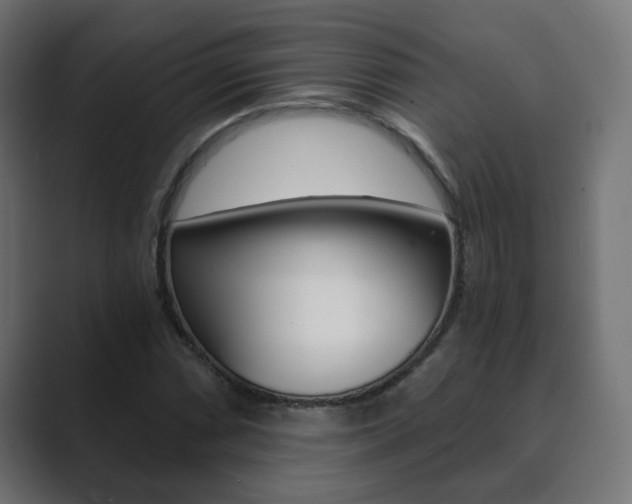 X0000089851066200706281016