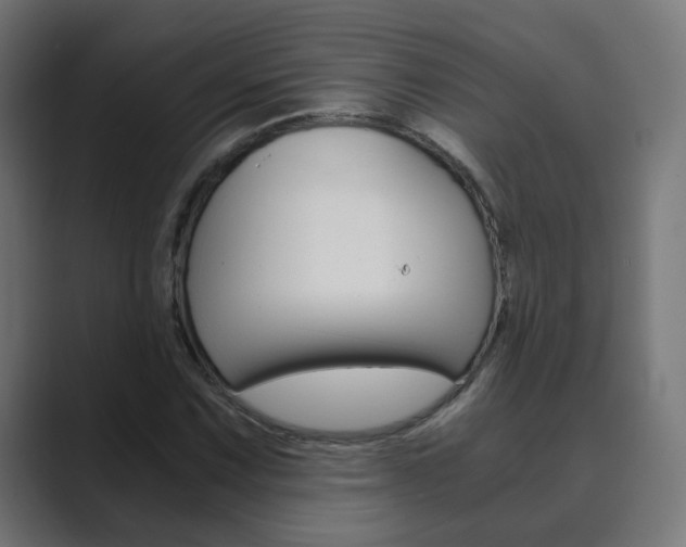 X0000089851067200706281016