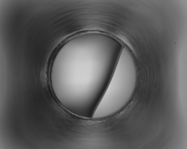 X0000089851068200706281016