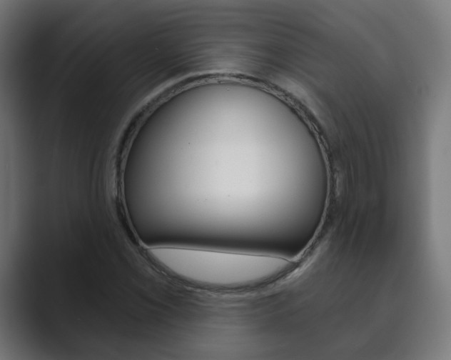 X0000089851069200706281016