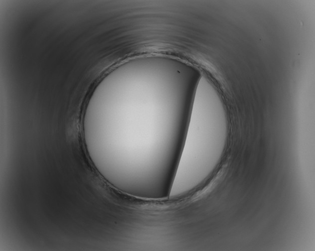 X0000089851073200706281016