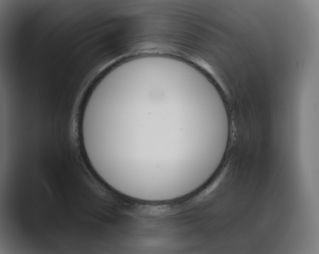 X0000089851074200706281016