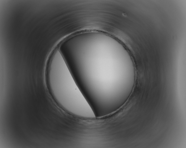 X0000089851076200706281016