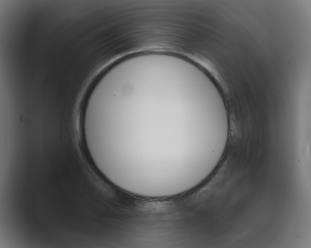 X0000089851078200706281016