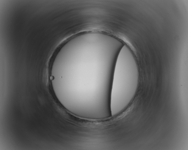 X0000089851079200706281016