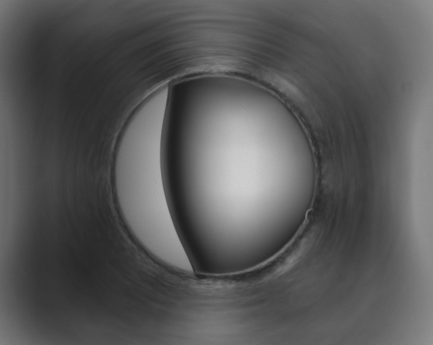 X0000089851081200706281016