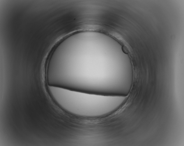 X0000089851083200706281016
