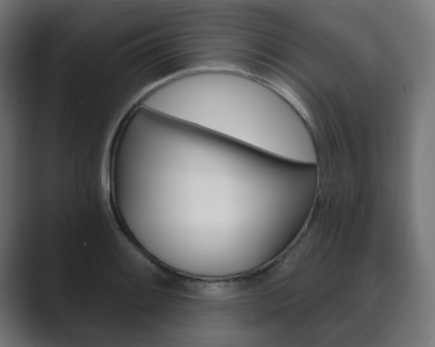 X0000089851084200706281016