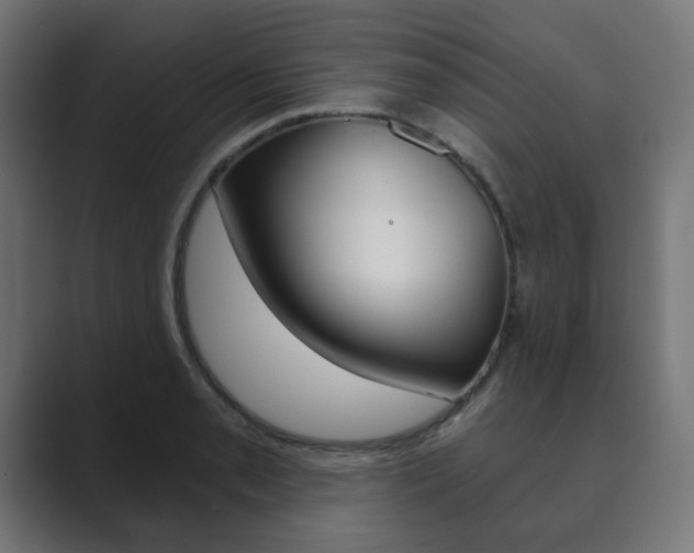 X0000089851085200706281016