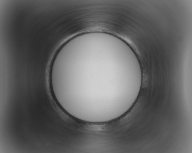 X0000089851086200706281016