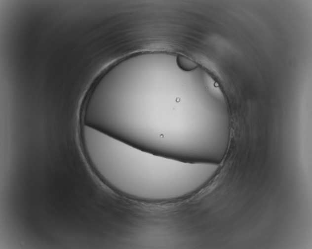 X0000089851087200706281016