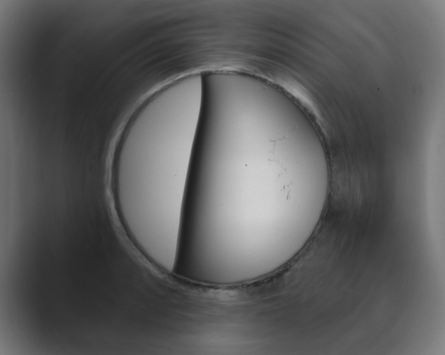 X0000089851088200706281016