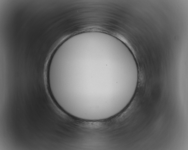 X0000089851090200706281016