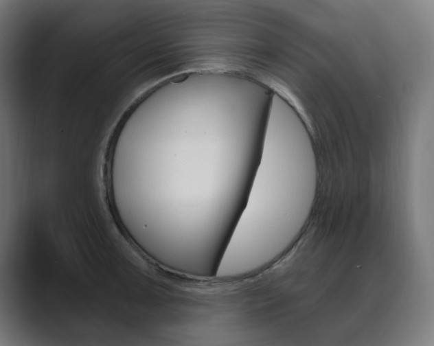 X0000089851091200706281016