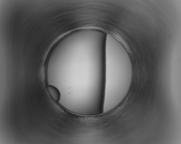 X0000089851092200706281016