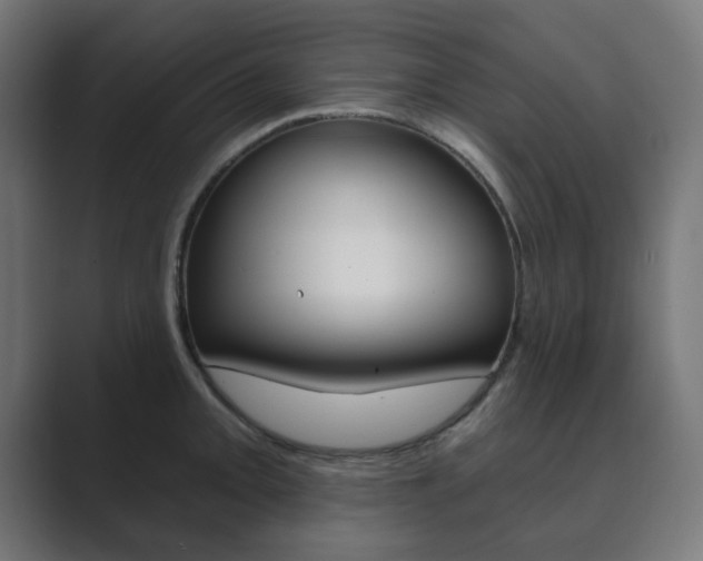 X0000089851093200706281016