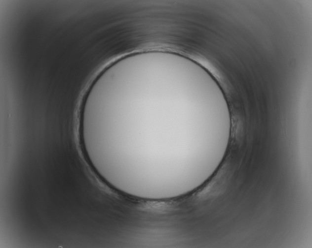 X0000089851094200706281016