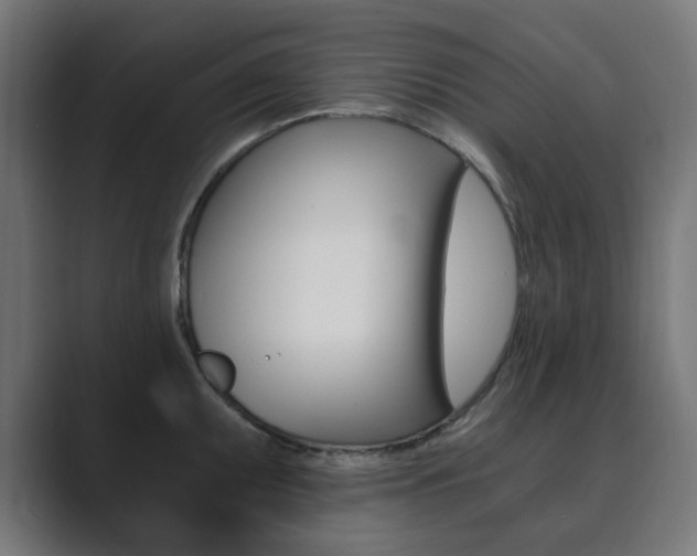 X0000089851095200706281016