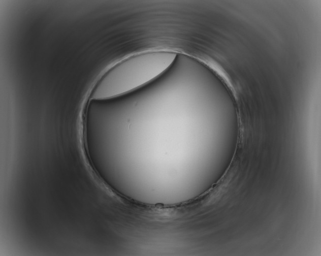 X0000089851096200706281016