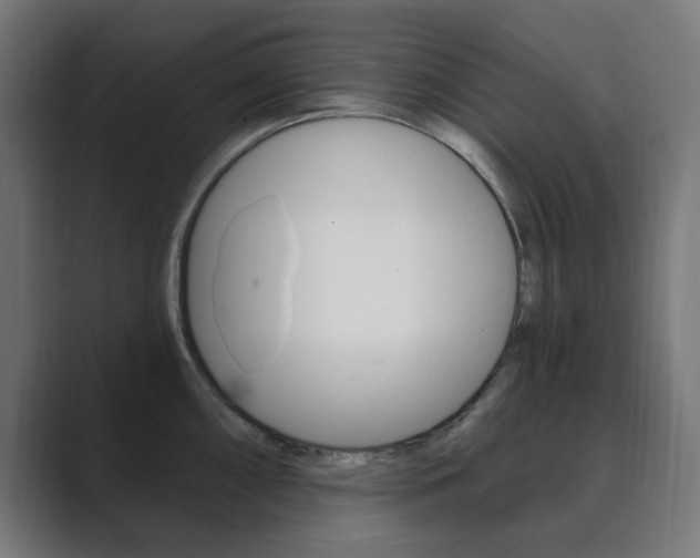 X0000089851098200706281016