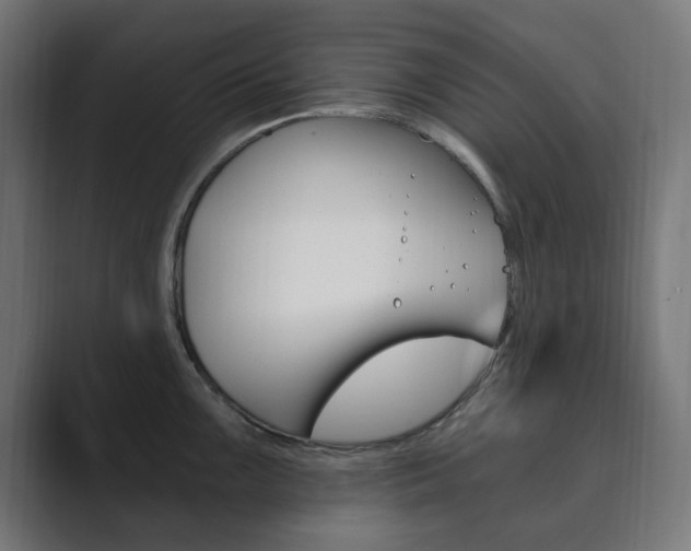 X0000089851099200706281016