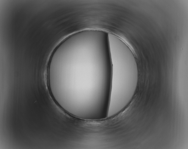 X0000089851100200706281016