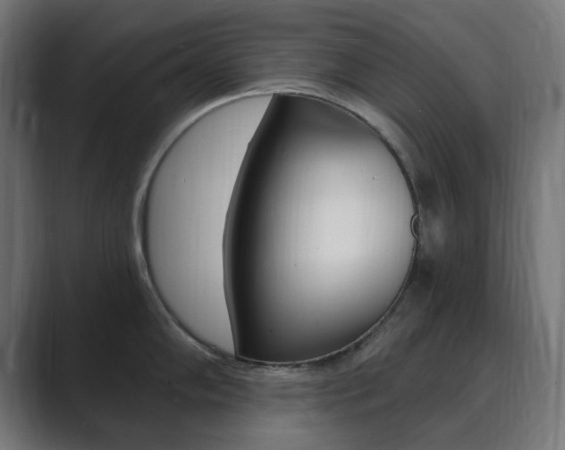 X0000089851102200706281016