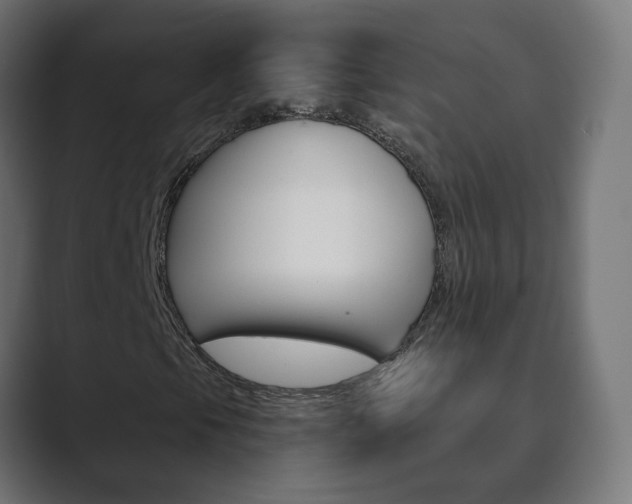 X0000089851105200706281015