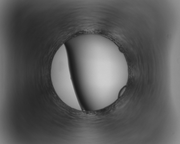 X0000089851106200706281015